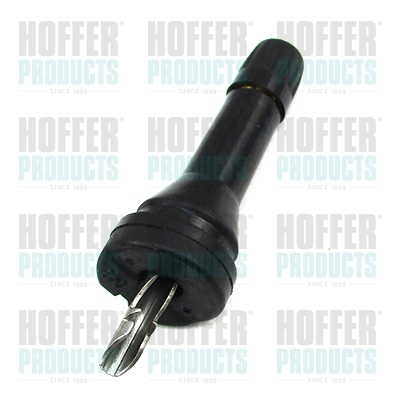 Valve de remplacement TPMS