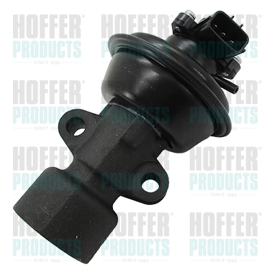 Vanne EGR
