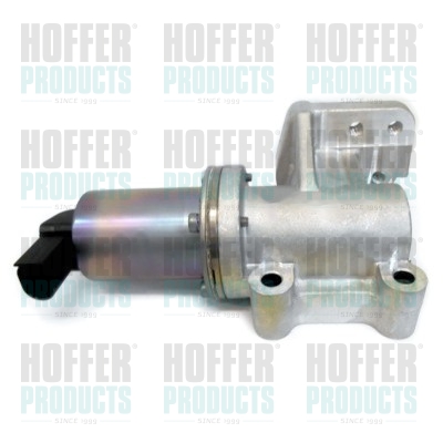 EGR klep