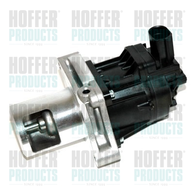 EGR klep