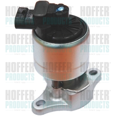 EGR klep