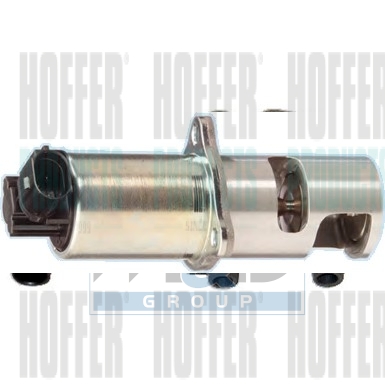 EGR klep