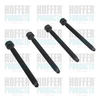 Stelschroef, injectiepomp (4-delige set)