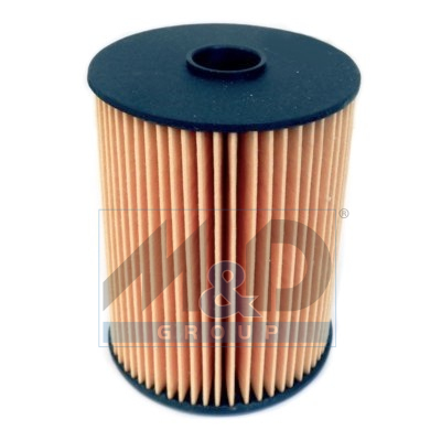 Filtre à essence, injection 