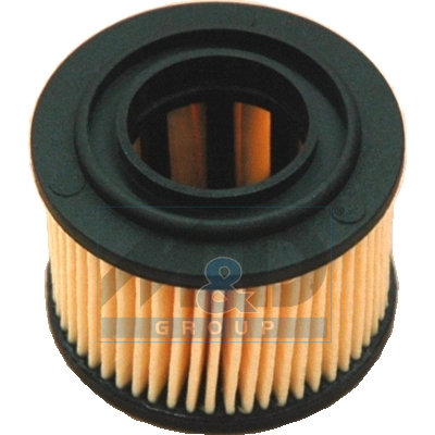 Filtre LPG