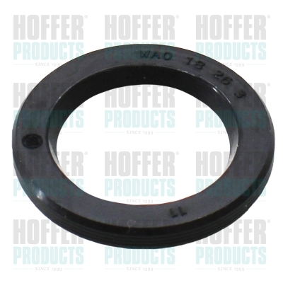Afdichtring, Injector (kit 10 stuks)