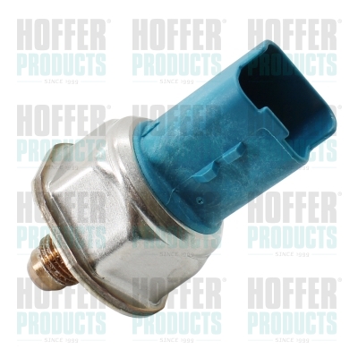 Kraftstoff Druckfühler