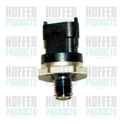 Kraftstoff Druckfühler