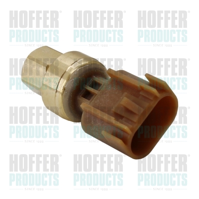 Kraftstoff Druckfühler