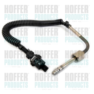Temperatuursensor uitlaatgas