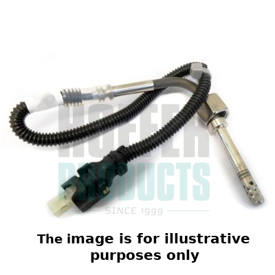 Temperatuursensor uitlaatgas