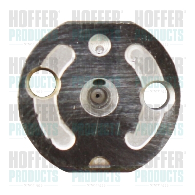 Kleppengroep (injector)