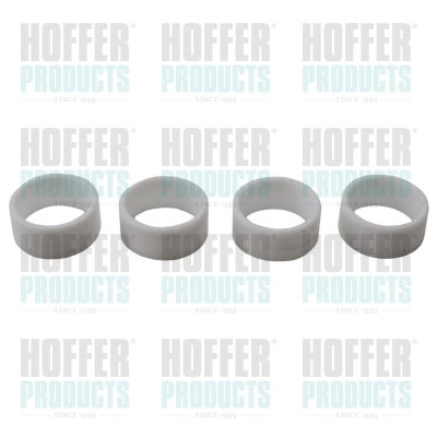 Injectorhuls (set van 4 stuks)