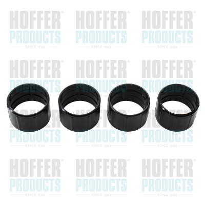 Injector afdichtingsring (kit 4 stuks) 