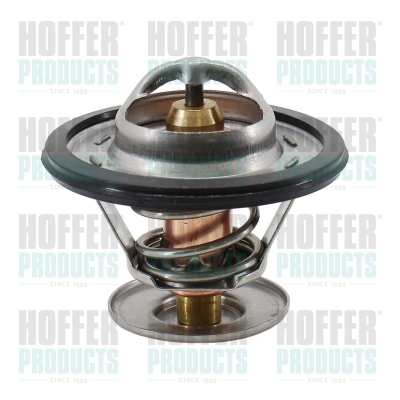Thermostat 