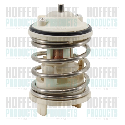 Thermostat 