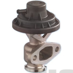 Ventil des Abluft-Umlaufsystems (EGR)