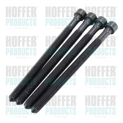 Vis (KIT 4) VW-VDO-BOSCH