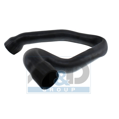 Slang
