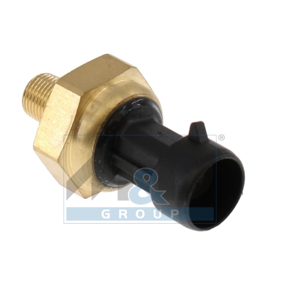 Drucksensor Abgas