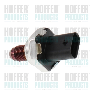 Kraftstoff Druckfühler