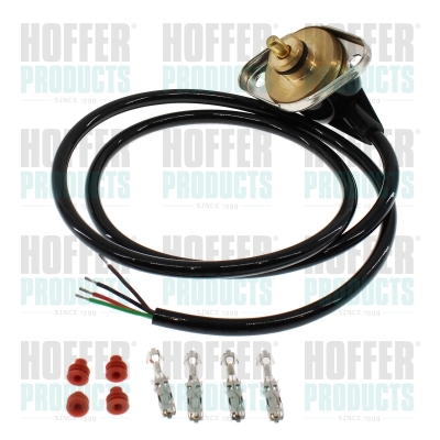 Kraftstoff Druckfühler