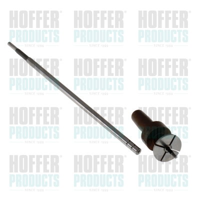 Pen en kleppen voor injectoren Common-Rail