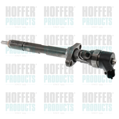 Injecteur diesel Common rail