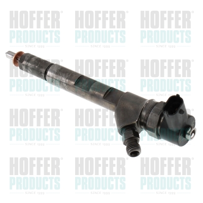 Injecteur diesel Common rail
