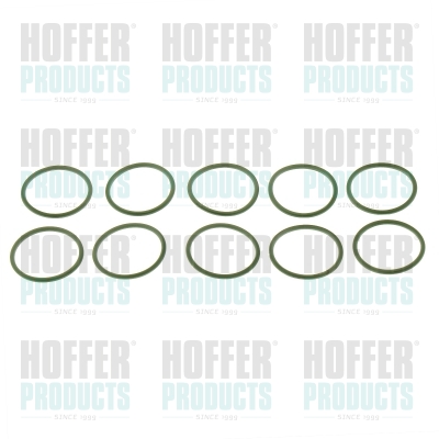 Pakking EGR klep (kit 10 stuks)