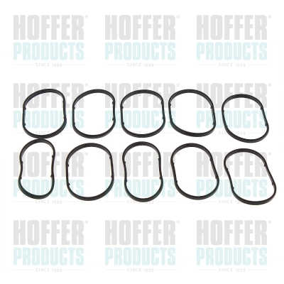 Joint vanne EGR (kit 10 pcs)