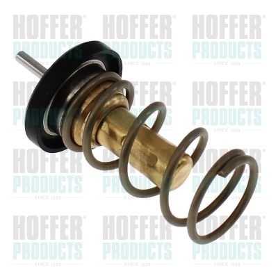 Thermostat 