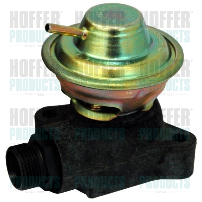 EGR klep