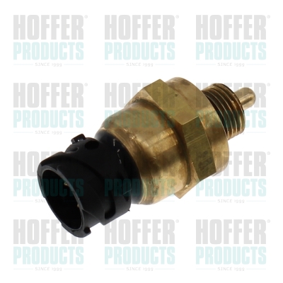 Drucksensor Abgas