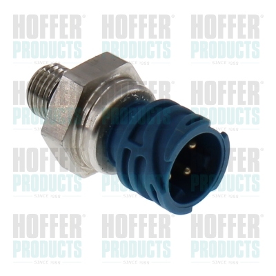 Kraftstoff Druckfühler