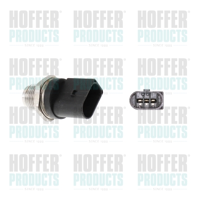 Kraftstoff Druckfühler