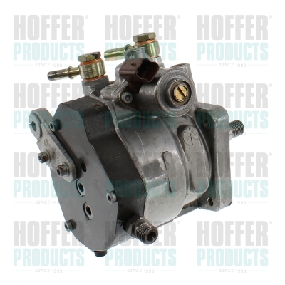 Hogedrukpomp (Common Rail-Delphi)
