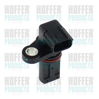 Nockenwellen- und Kurbelwellen-Sensor