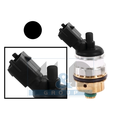 Zwarte Euro 5 LPG-injector
