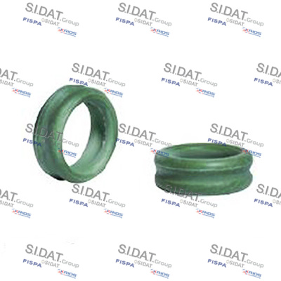 ORING DOUBLE  D.E. 5