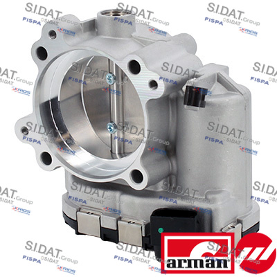 THROTTLE BODY