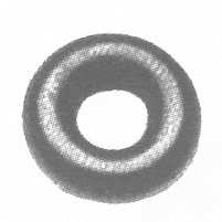 O-ring