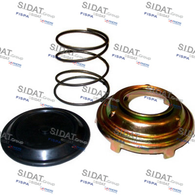 REPAIR KIT FOR DIESEL PUMP