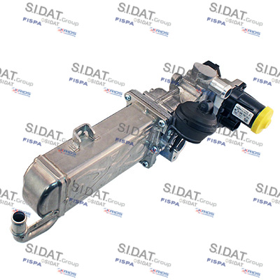 E.G.R. MODULE