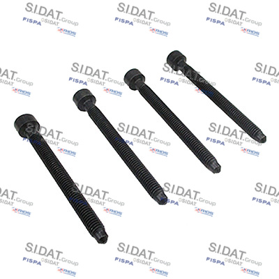 ADJUSTMENT SCREW INJECTOR PUMP - KIT 4 PCS