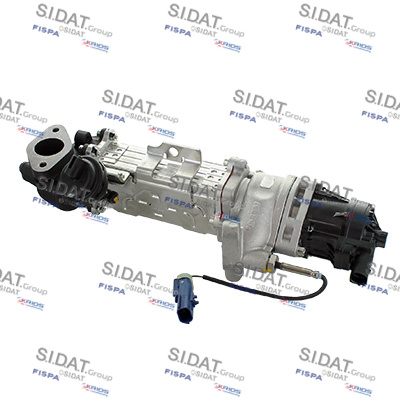 E.G.R. MODULE