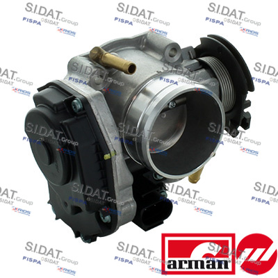 THROTTLE BODY