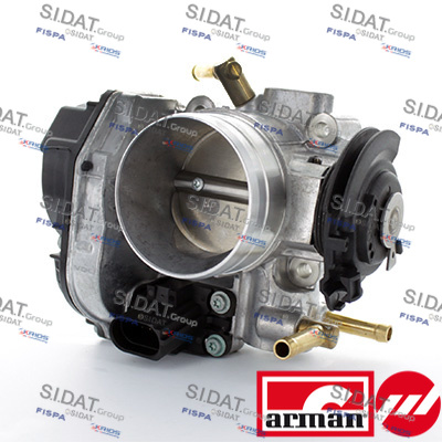 THROTTLE BODY