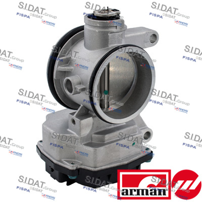 THROTTLE BODY