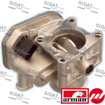 THROTTLE BODY
